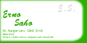 erno saho business card