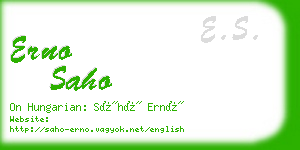 erno saho business card